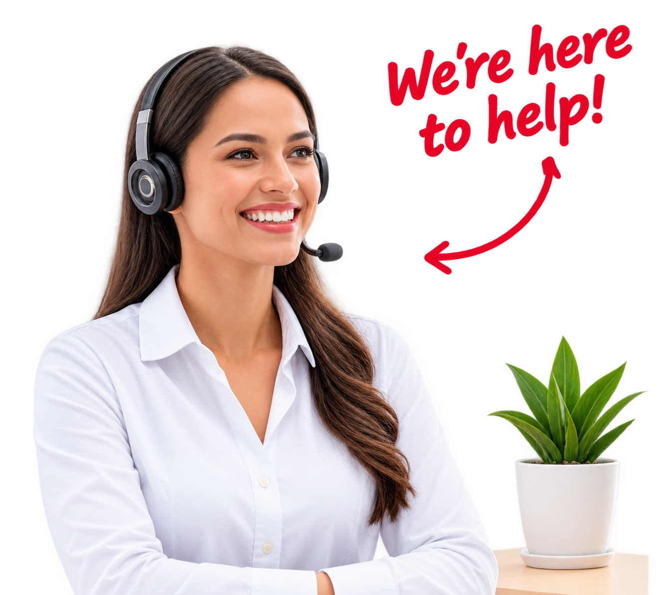 Customer Support Assistant