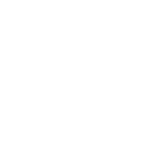 AI University & Course Recommendations